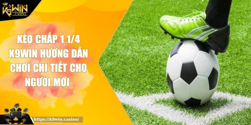 Kèo Chấp 1 1/4 K9WIN Hướng Dẫn Chơi Chi Tiết Cho Người Mới 10 Kèo Chấp 1 1/4 K9WIN Hướng Dẫn Chơi Chi Tiết Cho Người Mới
