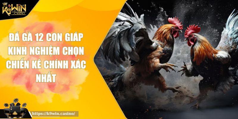 Đá Gà 12 Con Giáp Kinh Nghiệm Chọn Chiến Kê Chính Xác Nhất 1 Đá gà 12 con giáp
