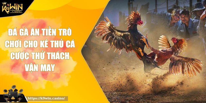 Đá Gà Ăn Tiền Trò Chơi Cho Kê Thủ Cá Cược Thử Thách Vận May 5 Đá gà ăn tiền