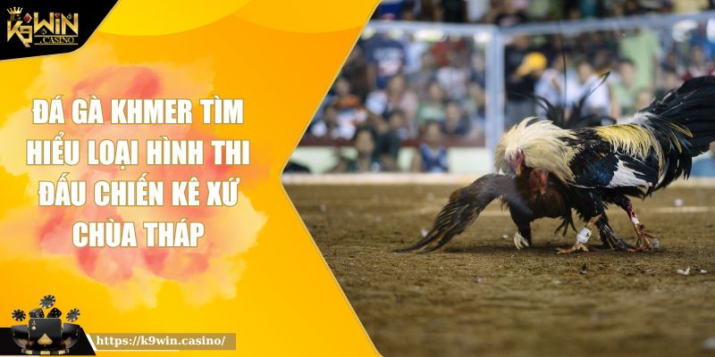 Đá Gà Khmer Tìm Hiểu Loại Hình Thi Đấu Chiến Kê Xứ Chùa Tháp 7 đá gà Khmer