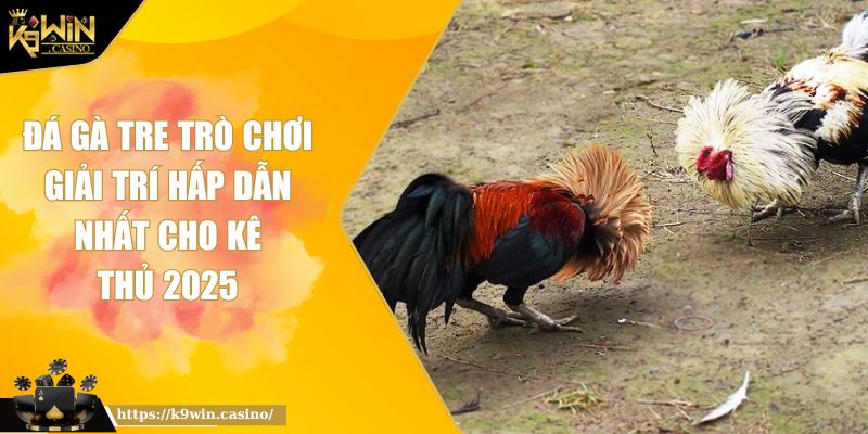 Đá Gà Tre Trò Chơi Giải Trí Hấp Dẫn Nhất Cho Kê Thủ 2025 10 Đá Gà Tre Trò Chơi Giải Trí Hấp Dẫn Nhất Cho Kê Thủ 2025
