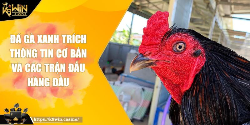 Đá Gà Xanh Trích Thông Tin Cơ Bản Và Các Trận Đấu Hàng Đầu 3 Đá gà xanh trích