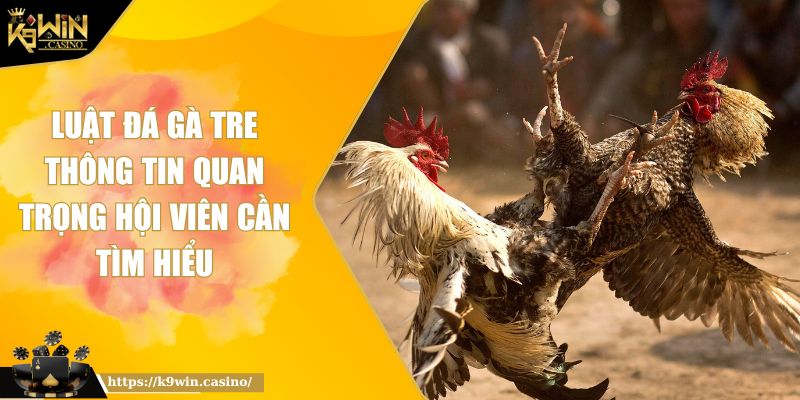 Luật Đá Gà Tre - Thông Tin Quan Trọng Hội Viên Cần Tìm Hiểu 3 luat-da-ga-tre